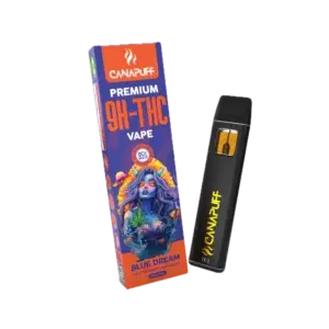 Blue Dream Delta 9 THC Puff Bar 95% 1ml