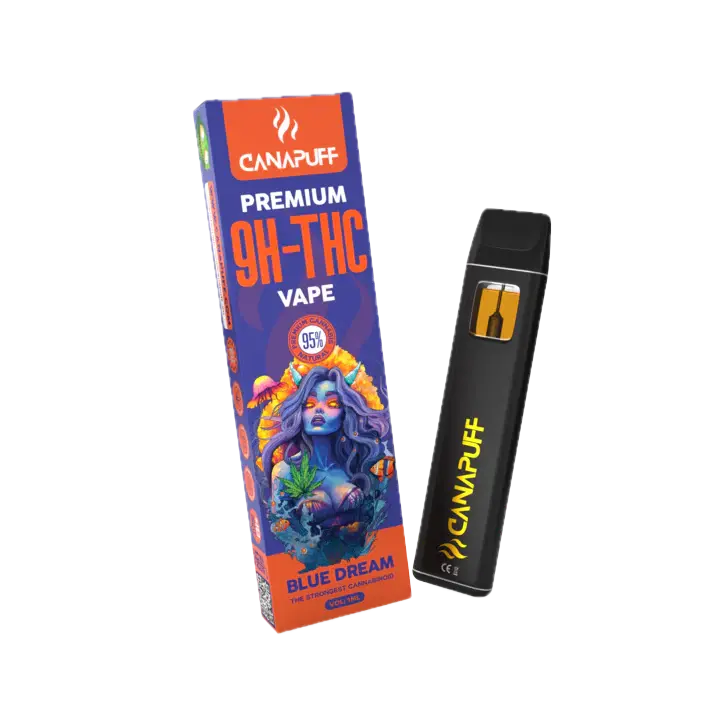 Blue Dream Delta 9 THC Puff Bar 95% 1ml