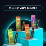 Delta 9 THC Puff Paketi (4x1ml)