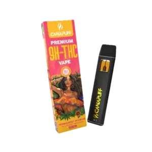 Permanent Marker Delta 9 THC Puff Bar 95% 1ml