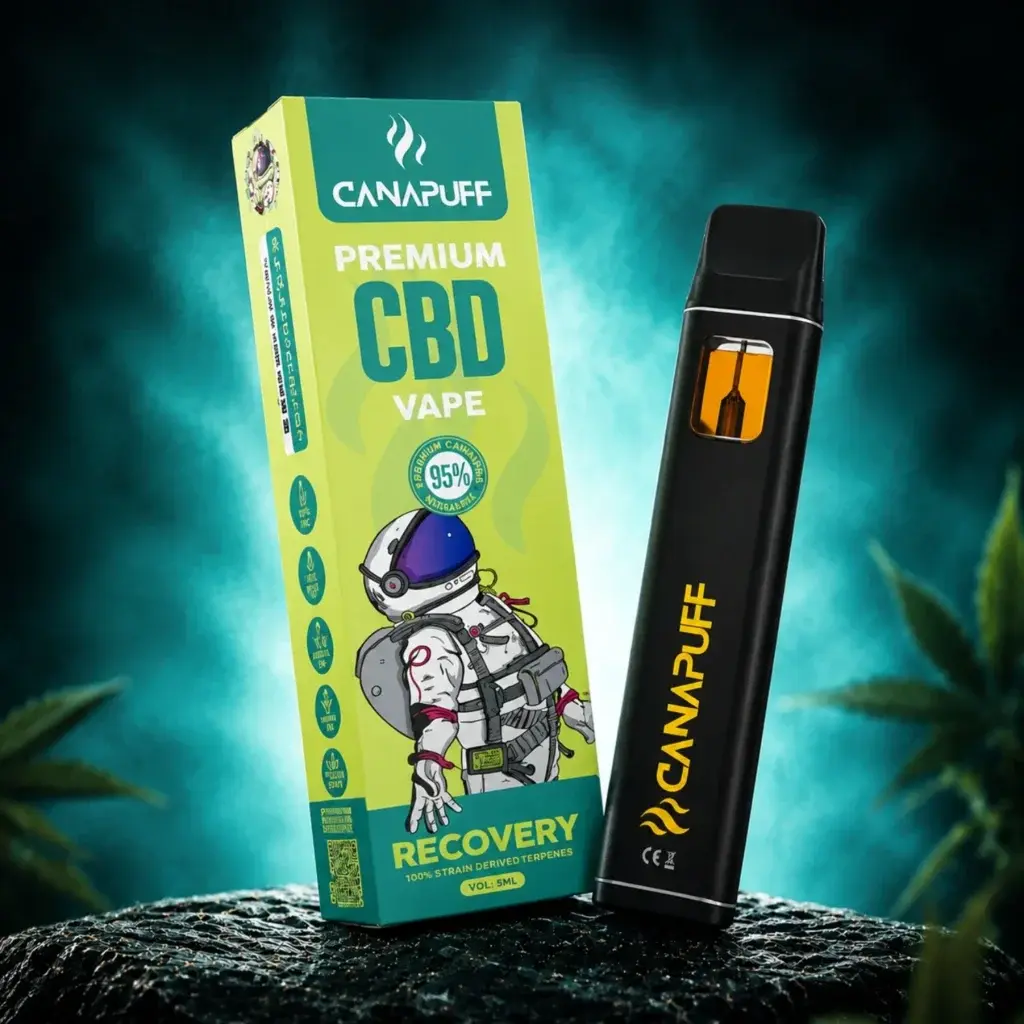 Recovery CBD Puff Bar 95% 1ml