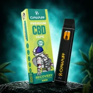 Recovery CBD Puff Bar 95% 1ml