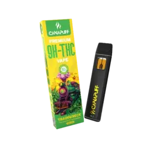 Trainwreck Delta 9 THC Puff Bar 95% 1ml